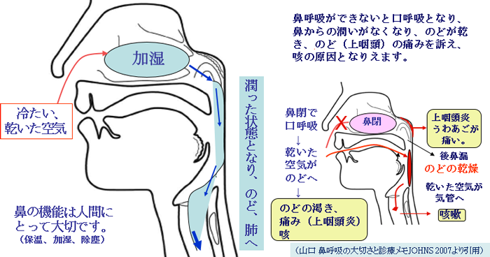 鼻呼吸の大切さ 山口内科耳鼻咽喉科